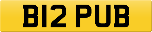 B12PUB