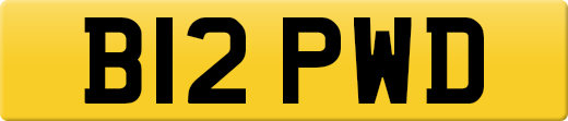 B12PWD