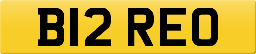 B12REO