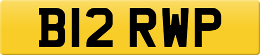 B12RWP
