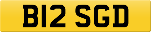 B12SGD