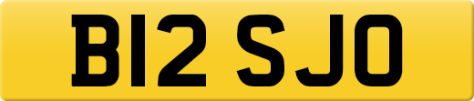B12SJO