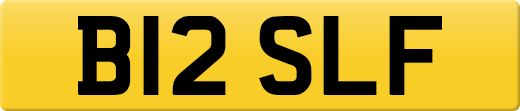 B12SLF