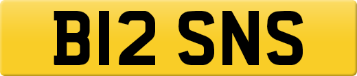 B12SNS