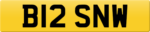 B12SNW
