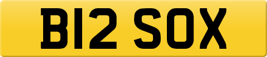 B12SOX