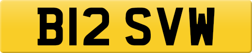 B12SVW