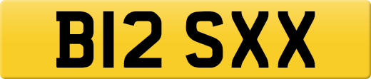 B12SXX