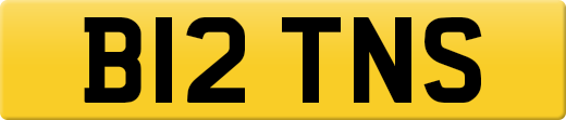 B12TNS