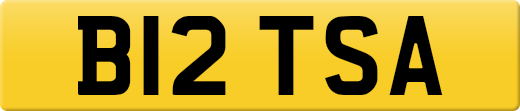 B12TSA