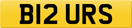 B12URS
