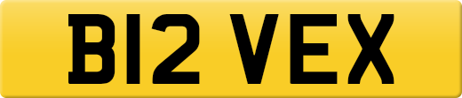 B12VEX