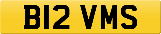 B12VMS