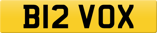 B12VOX
