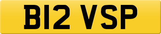 B12VSP