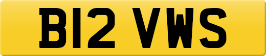 B12VWS