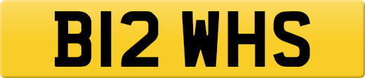 B12WHS