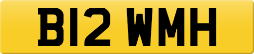 B12WMH