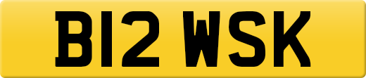 B12WSK