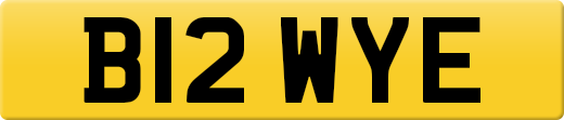 B12WYE