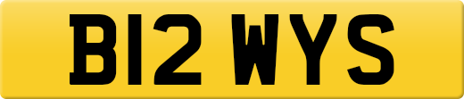 B12WYS