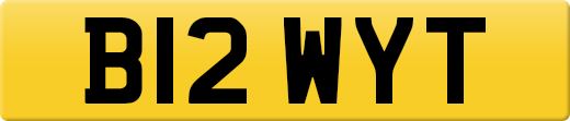 B12WYT
