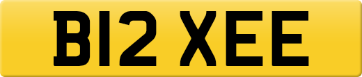B12XEE