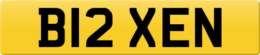B12XEN
