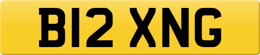 B12XNG