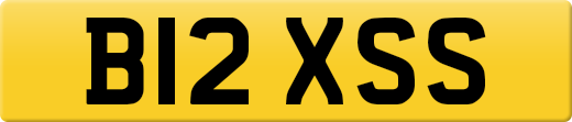 B12XSS
