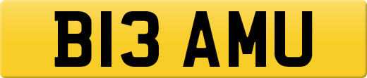 B13AMU