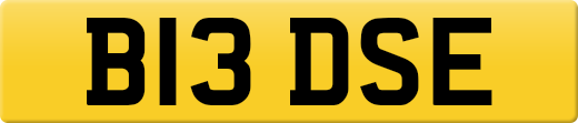 B13DSE