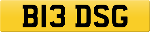 B13DSG
