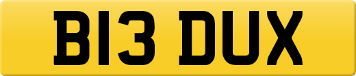 B13DUX