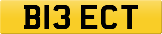 B13ECT