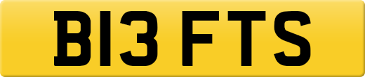 B13FTS