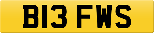 B13FWS