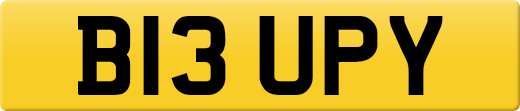 B13UPY
