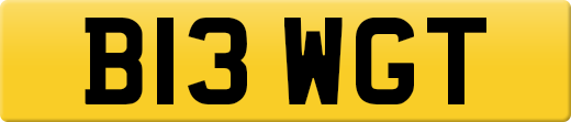 B13WGT