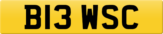 B13WSC