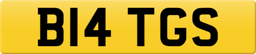B14TGS