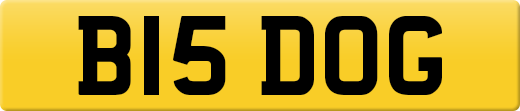 B15DOG