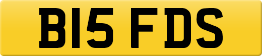 B15FDS