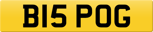 B15POG