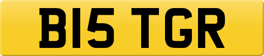 B15TGR