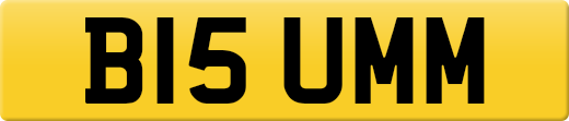 B15UMM