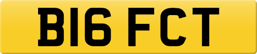 B16FCT