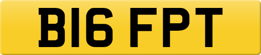B16FPT