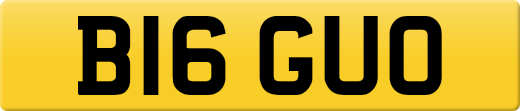 B16GUO