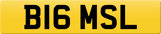 B16MSL
